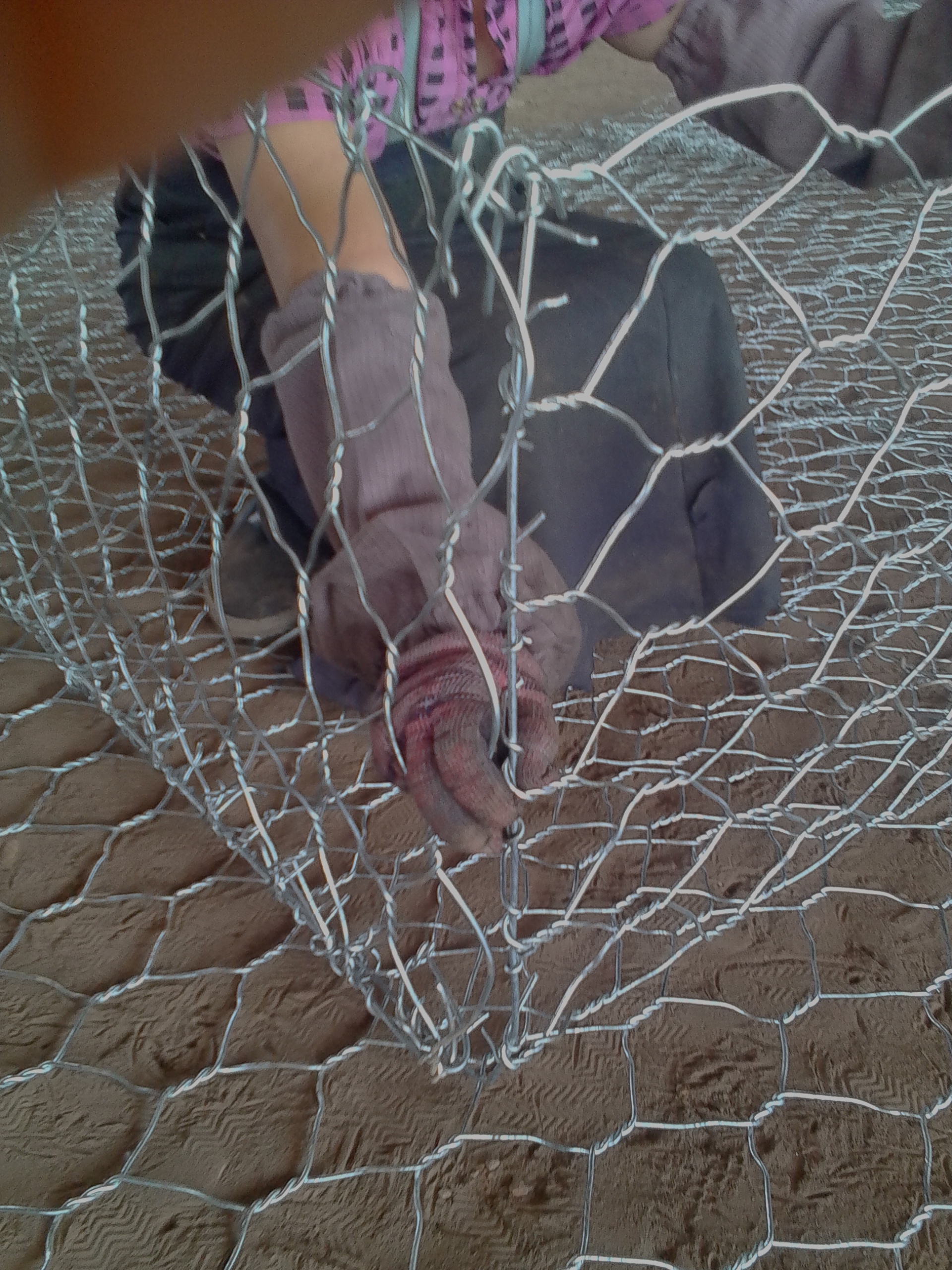 eʯ\(zh)И(bio)(zhn)