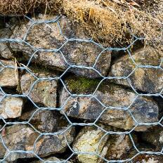 ʯ\W(wng)15531868633