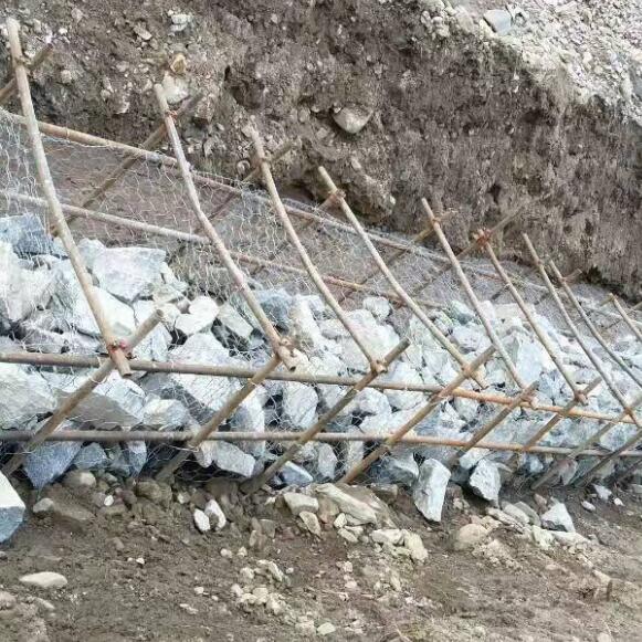 ʯ\W(wng)15531868633