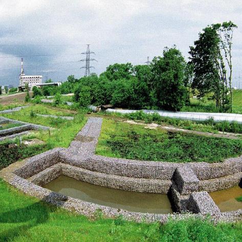 ʯ\W(wng)G15531868633